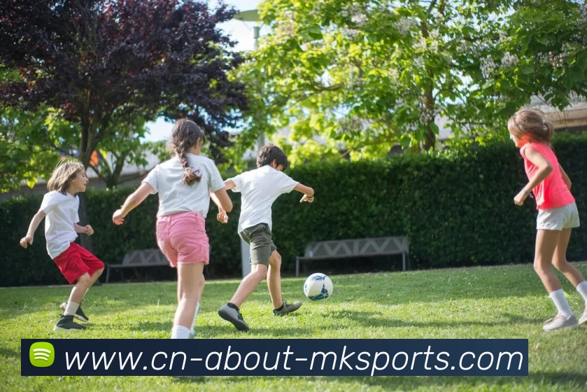 App Interface Preview