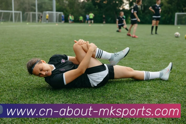 MK体育APP 封面图